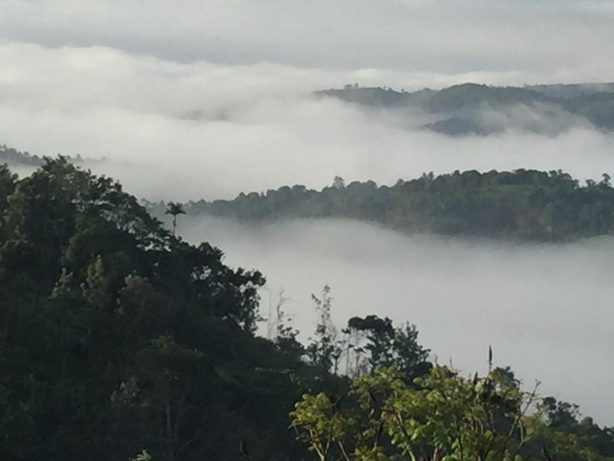 Best Mist Idukki Exterior foto