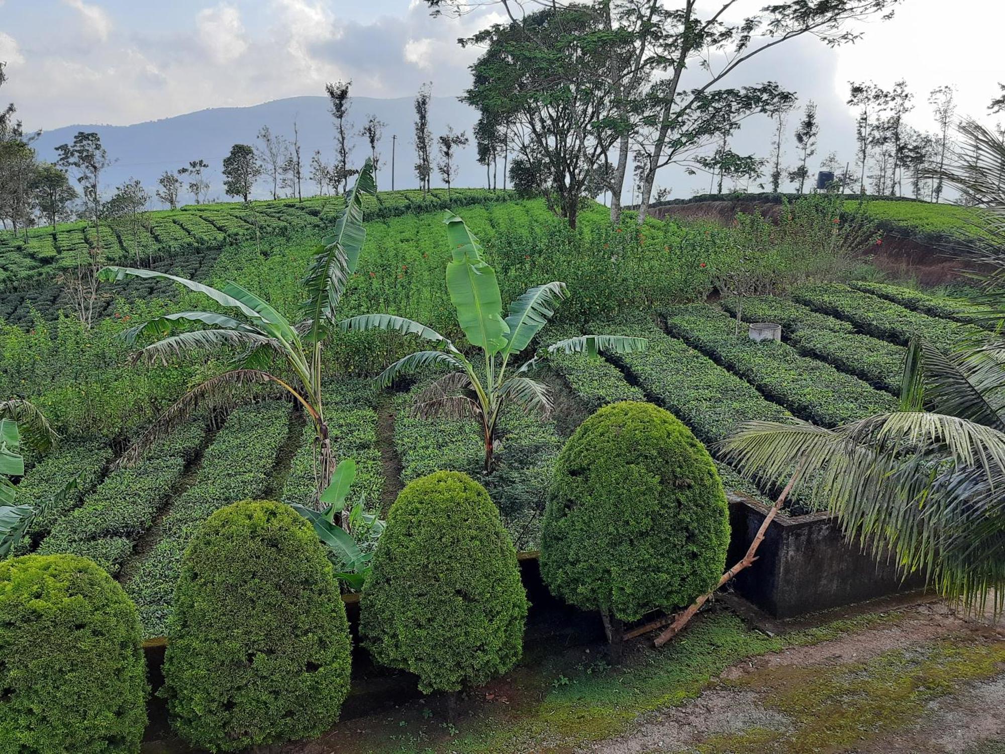 Best Mist Idukki Exterior foto
