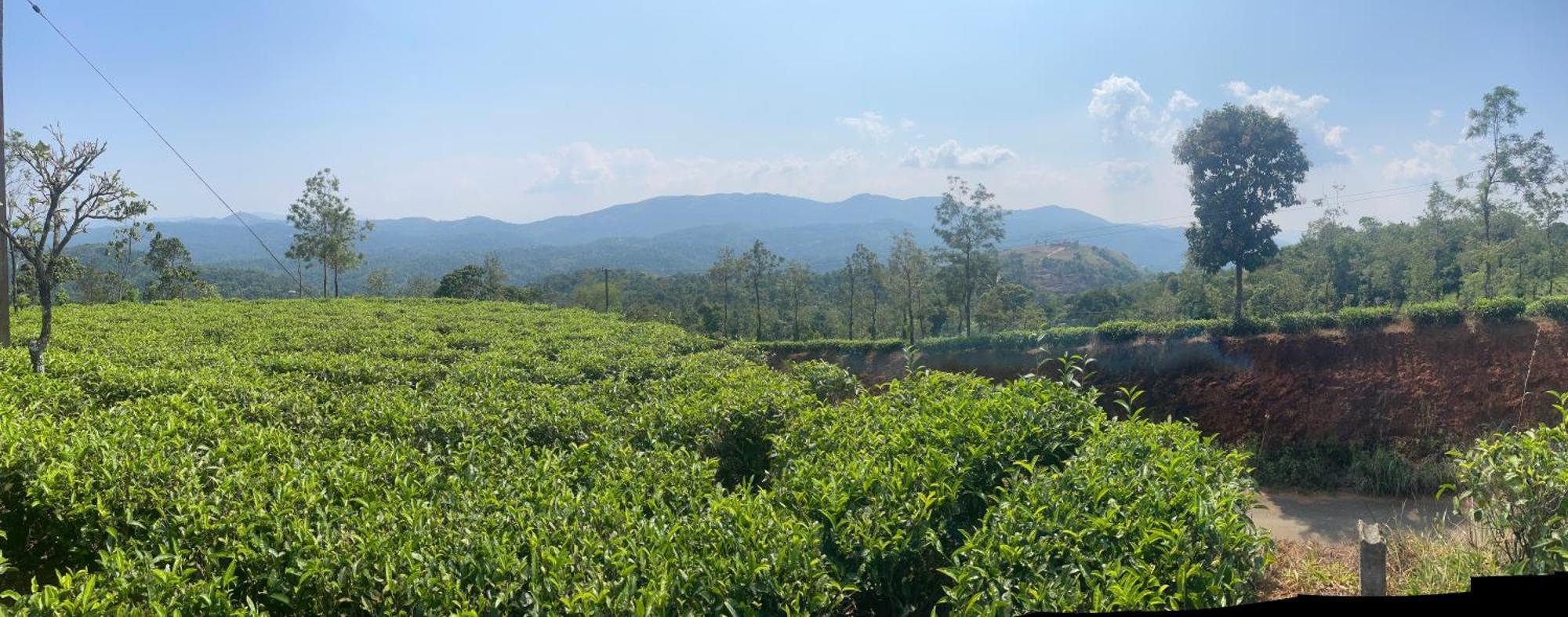 Best Mist Idukki Exterior foto