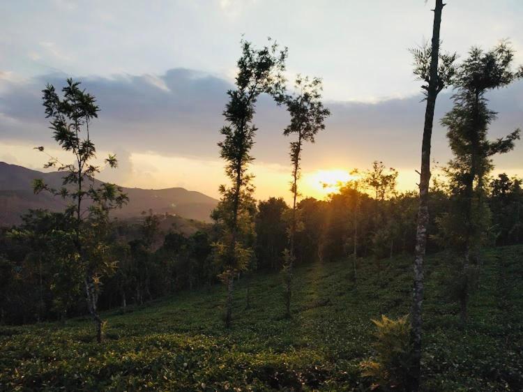 Best Mist Idukki Exterior foto