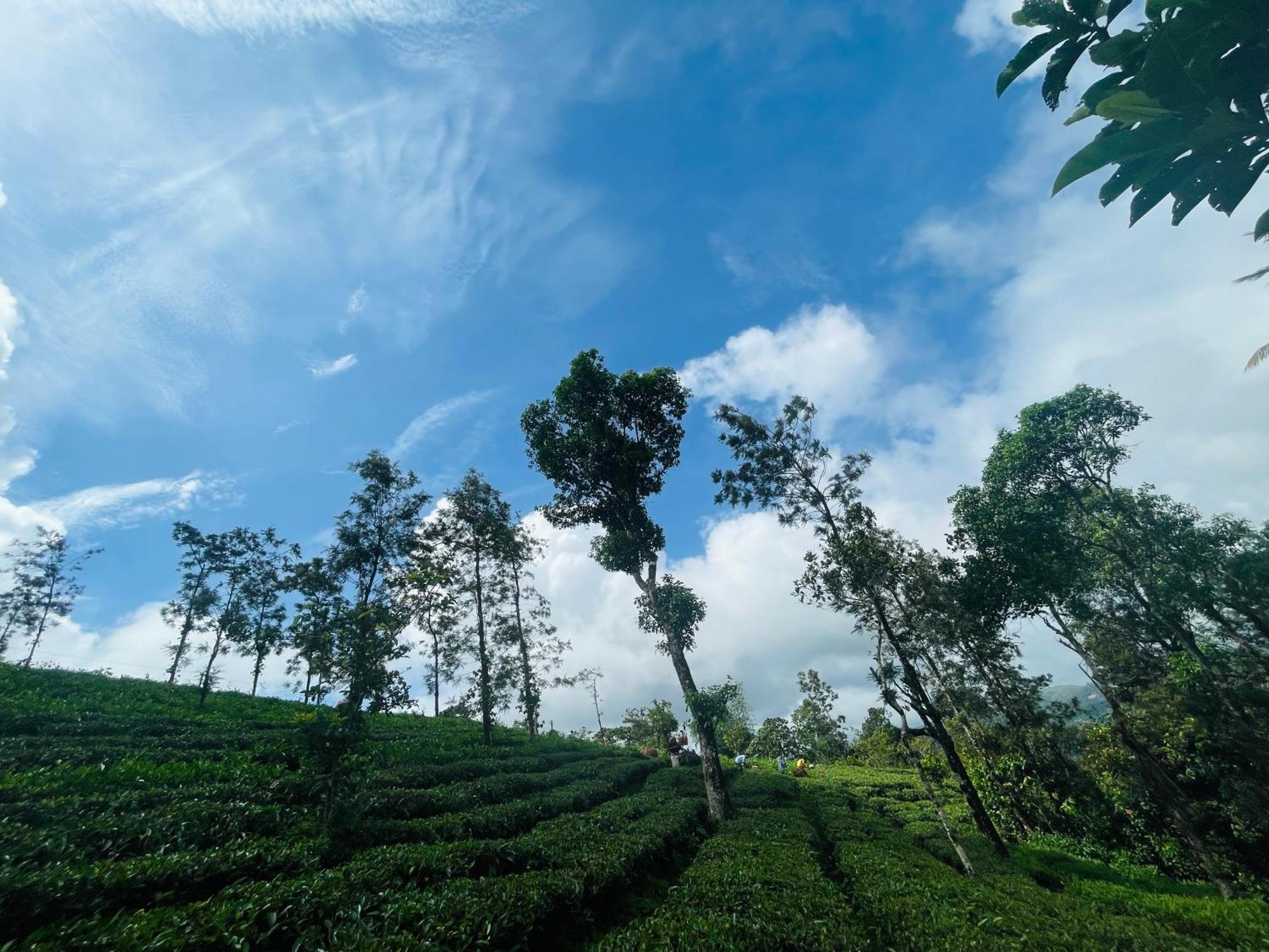 Best Mist Idukki Exterior foto