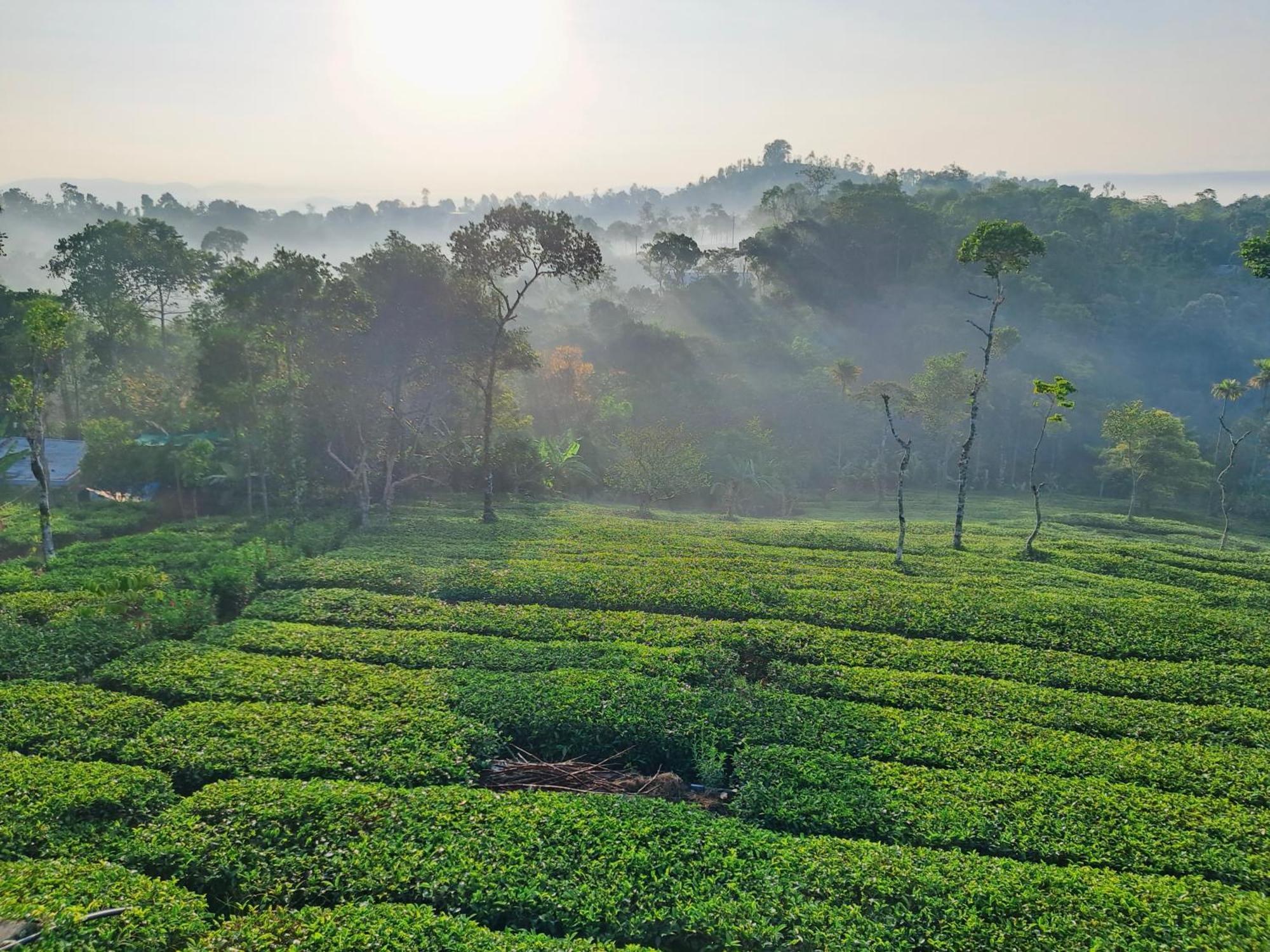 Best Mist Idukki Exterior foto